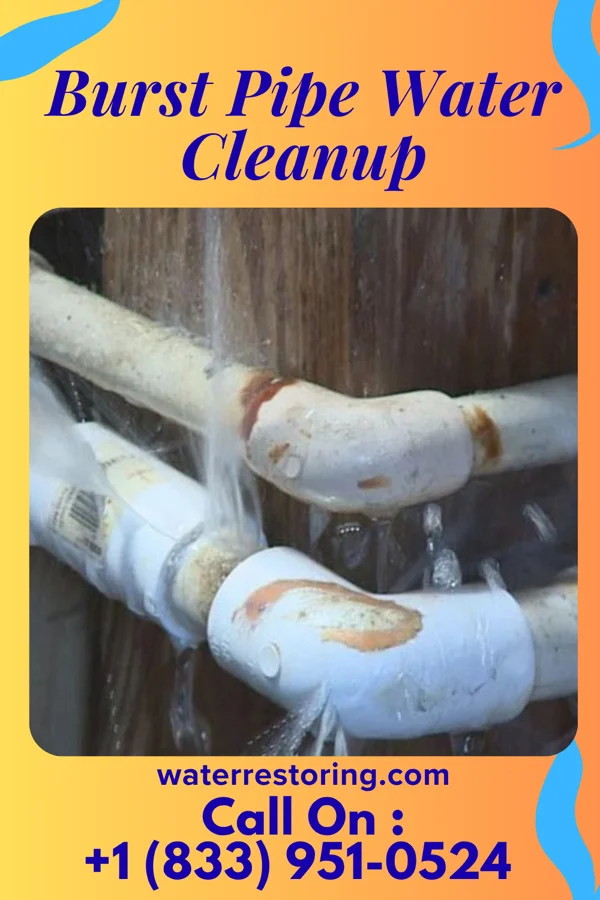 Burst Pipe Water Cleanup in Newport, TN