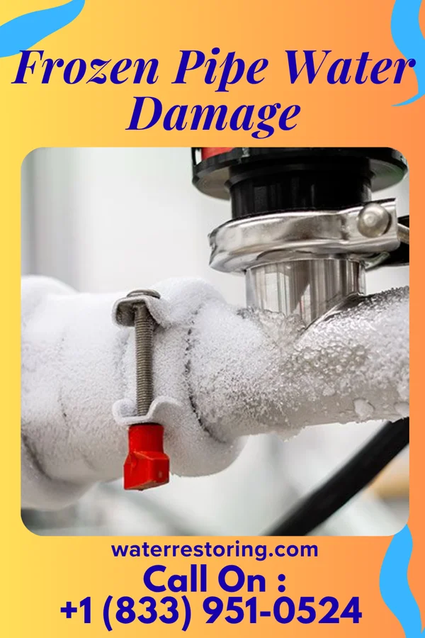Frozen Pipe Water Damage in Newport, TN